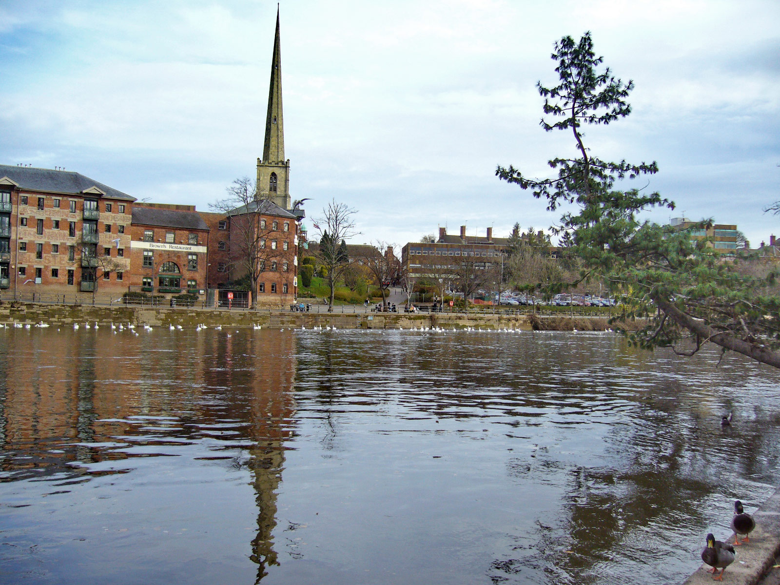 Worcester